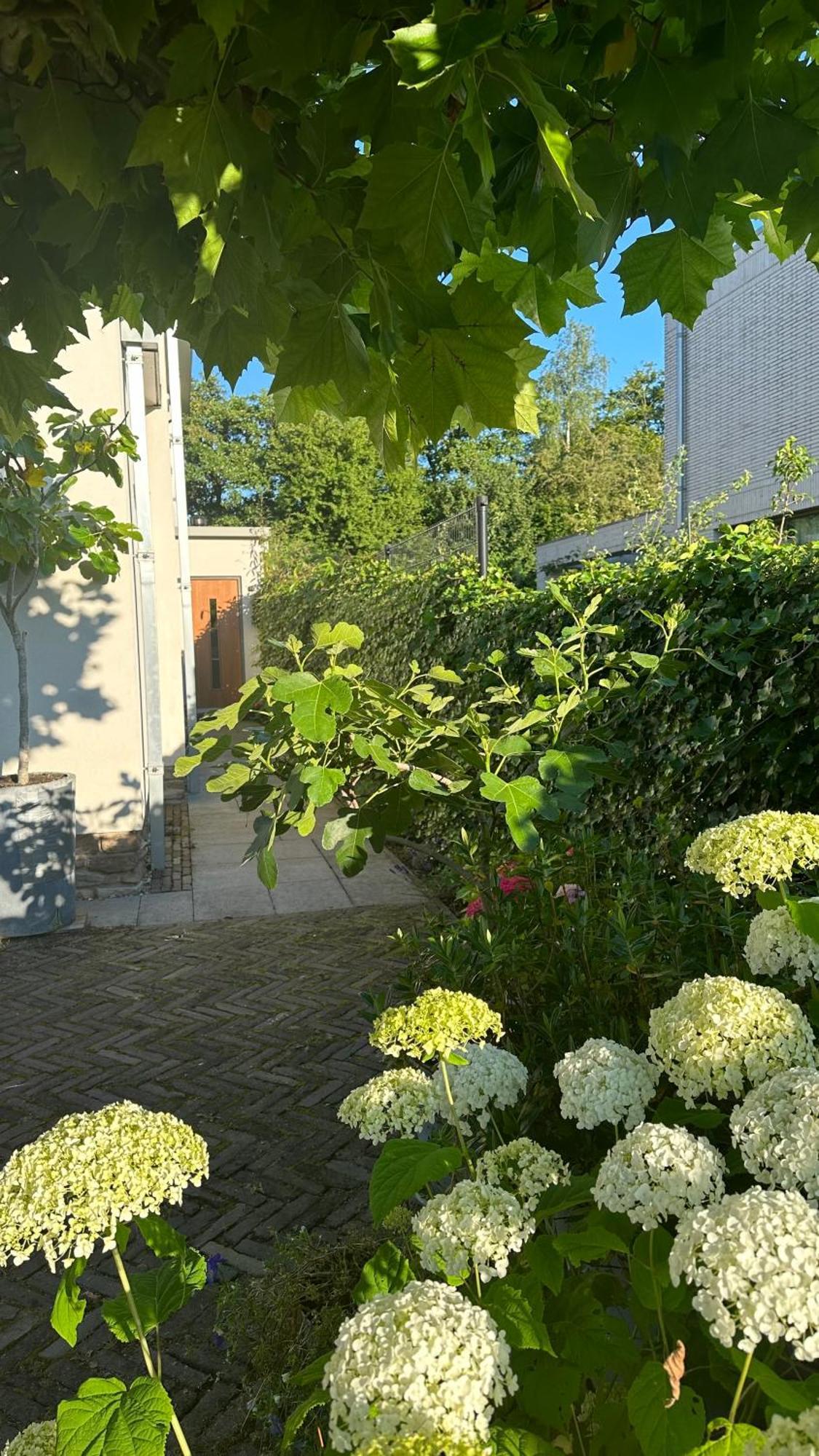 Luxe B&B "In De Schulp", Ontspan En Geniet Van Comfort En Stijl Amstelveen Extérieur photo
